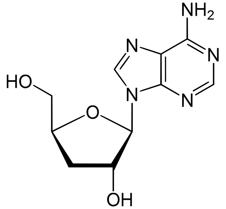 кордицепин