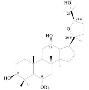 24 (R) pseudoginsénoside F11