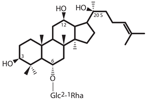 ginsenosido 20 (S) -Rg2