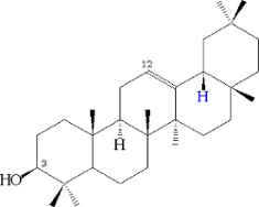 beta-amirina