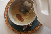 preparación de la imagen de té de ginseng Panax